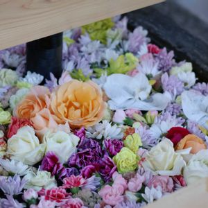 花のある暮らし,緑のある暮らし,群馬県,HTC,信楽狸倶楽部の画像