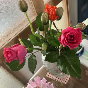 キッチンの画像