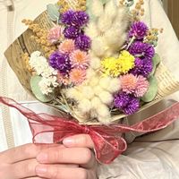 ヒヤシンス,ヒヤシンス,ヒヤシンス寄せ植え　4色,嬉しいプレゼント☆,私のお気に入りの画像