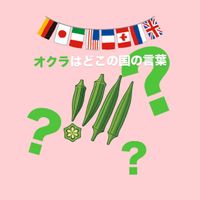 在来種,固定種,伝統野菜,野菜遺産,野菜遺産PROJECTの画像