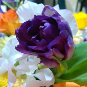 お出かけ先の画像