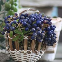 アネモネ,常山アジサイ 碧の瞳,一眼レフ撮影,野鳥の来る庭,小さな庭の画像