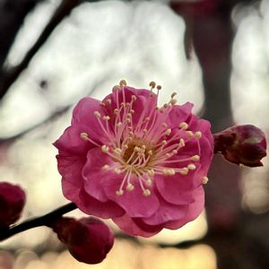 お出かけ先の画像