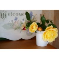 バラ,トールペイント,バラのある暮らし,庭の花を飾る,ミラーレス一眼の画像