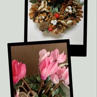 シクラメン,リースの画像