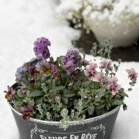 ヌーヴェル・ヴァーグ,ヌーヴェル・ヴァーグ,ローブドゥアントワネットロココ,ローブドゥアントワネットロココ,玄関前の画像