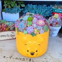 オーダー,手作り,リメイク,仕立て直し,可愛い♥️の画像