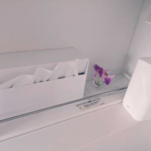 ラン,洋ラン,ピンク,パープル,花のある暮らしの画像