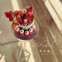 レッドベリー,ｵｼﾞｿﾞｰﾀﾝ,普及種,多肉寄せ植え,多肉植物のある暮らしの画像