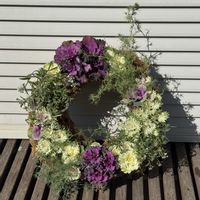 フリージア,葉牡丹リースの画像