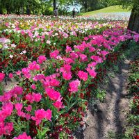 広い庭,お出かけ先の画像