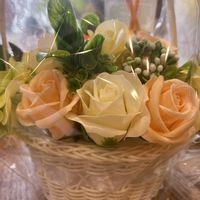 バラ,チーム・ブルー,チーム岐阜,❄️冬にまけるな❄️,白い水曜日♡の画像