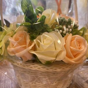 バラ,チーム・ブルー,チーム岐阜,❄️冬にまけるな❄️,白い水曜日♡の画像