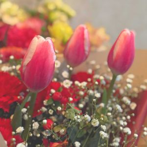 チューリップ,かすみ草,かすみ草,赤い花,可愛いの画像