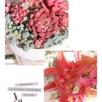 火祭り,ピンクルルビー,多肉植物,可愛い,癒しの画像