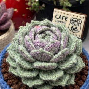 ローラ,ローラ,カサンドラ,カサンドラ,アルハンブラの画像