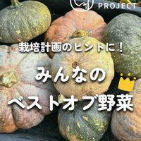 ナス,ピーマン,ズッキーニ,ししとう,かぼちゃの画像