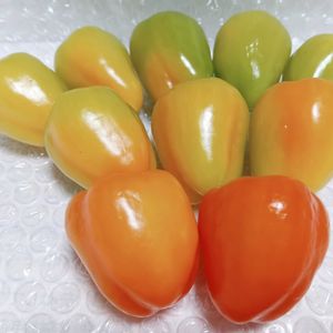 鈴なりパプリカ りんりん,無農薬栽培,パプリカ追熟中,キッチンの画像