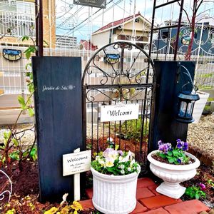 チューリップ,バラ,パンジー,つるバラ...,ビオラの画像