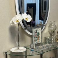 ファレノプシス（胡蝶蘭）,花言葉,花のある暮らし,誕生花,GS映えの画像