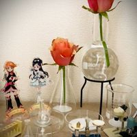 バラ,薔薇,挿し木,理科室,バラ・ミニバラの画像