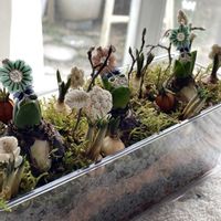 ガーデニング,緑のある暮らし,リビング窓辺の画像