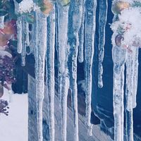 ミセバヤ,ツララ(氷柱)の画像