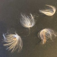 アベリア,テイカカズラ,ツクバネウツギ,ケサランパサラン,オドリハボタンの画像