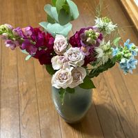 キンセンカ,キンセンカ,キンセンカ,ニゲラ,丸葉 ユーカリの画像