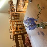 デルフィニウムの画像