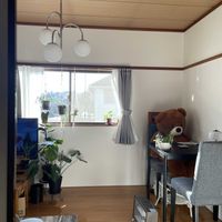 チランジア,グリーンネックレス,サンスベリア,チューリップ,ヒヤシンスの画像