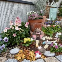 アリッサム,ネメシア,ブラキカム,プリムラ,ビオラの画像