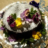 ミント,ビオラ,手作りガトーショコラ,お誕生日プレゼント,チョコの画像