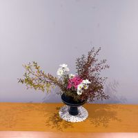 ネリネ,ユキヤナギ,スプレー菊,いけばな,花のある暮らしの画像