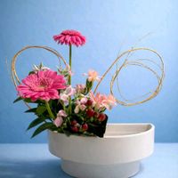 生け花,SONY,ザ花部,その他部屋の画像