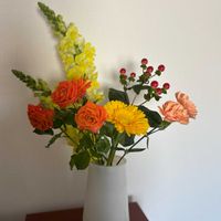 カーネーション,ヒペリカム,金魚草,金魚草,キッチンの画像