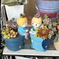 多肉植物の寄せ植え,寄せ植え,多肉植物,多肉中毒,ベランダ多肉の画像