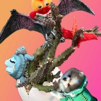 初雪カズラ,サボテンの寄せ植え,お写んぽ,ガガ様,I love はちゅの画像