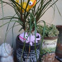 トックリラン(ポニーテール),復興祈願,HTC,富山支部,頑張れ被災地の画像