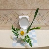 スイセン,日本水仙,ダバリア ラビットフット,切り花,華道の画像