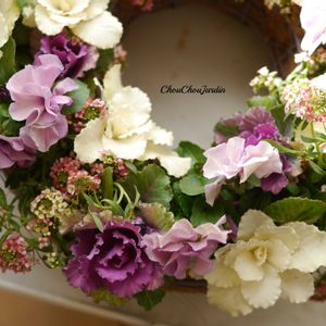 ハボタン,葉牡丹,寄せ植え,リース,ベランダガーデンの画像