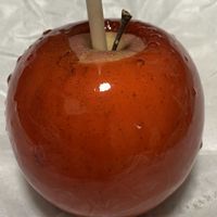 リンゴ,ありがとう♡,繋がりに感謝✨,大切な人に…,放ったらかし隊の画像