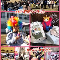 アメリカンブルー,ハイビスカス,レッドベルベット,ブルーエルフ錦♡,ブースカの画像