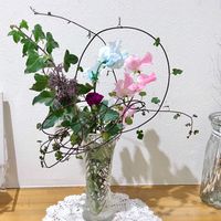 カーネーション,スイートピー,ワイヤープランツ,アイビー,癒しの画像