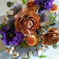 ベニバナ,ポインセチア,パンジー,絵になるスミレ・マリーヌ,ナンキンハゼの画像