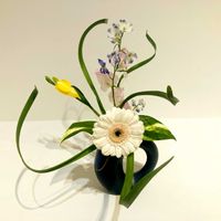 観葉植物,癒し,生け花,グリーンのある暮らし,GSのみなさんに感謝♡の画像