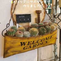 サボテン,今庭,多肉植物,DIY,リメ缶の画像
