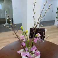 いけばな,生け花,職場に花を,職場のいけばな,ユニクロのお花の画像