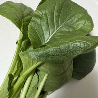 小松菜の画像