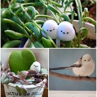 ハートカズラ斑入り《レディハート》,ハートホヤ,バナナネックレス,チューリップ おやゆび姫,大人の着せ替え人形の画像